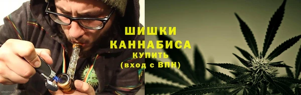 шишки Балабаново